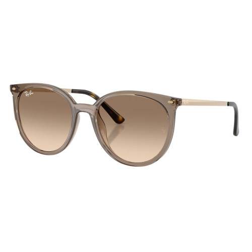 RAY BAN RB4464 673713